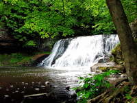 waterfall-in-the-forest